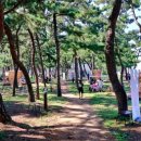 연곡해변 솔향기캠핑장 이미지