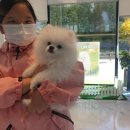 플레이독 남양주점 이미지