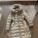 라임폭스