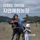 원형농장 | 강화도 아이랑 체험 추천 자연체험농장 갯벌 가을 낙지잡기