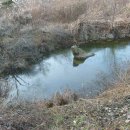 보성강7 이미지