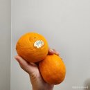 유경농수산