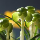 자산동244 이미지