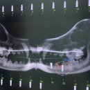 청담리덴동물치과병원 이미지