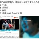 일본 애니메이션 회사 건물 방화범 얼굴 공개 이미지