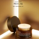 도도인셀덤