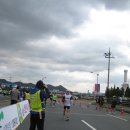 5년만의 호전! 이미지