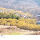 엘러게이니