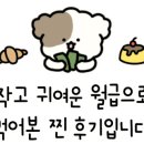 일배막창 이미지