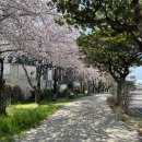 서호호근로 이미지