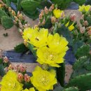 재호환경 이미지