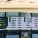 와흘메밀마을 제주 메밀밭 제주도 메밀꽃 개화시기