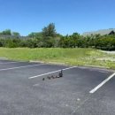 오리와사람들 이미지