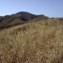 덕산계곡진입로 이미지