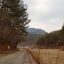 강용목장 | 외씨버선 9길 춘양목 솔향기길