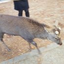 드림게스트하우스 이미지