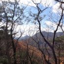 동막산(東幕山731.2m)--만추 적막강산에 들다.(강원 홍천.) 이미지