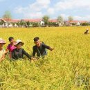 대청농장 이미지