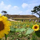 연천 호로고루 이미지