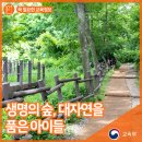 솔빛유치원 이미지