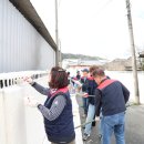 청도군-17 이미지