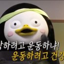 라인업피트니스 이미지