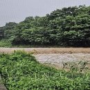 불모산동 이미지