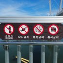 백사장항(대하) 이미지