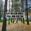 나주 단풍 명소 천년 고찰 불회사 역사, 체험 프로그램