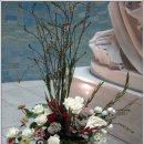 신비로-10 이미지