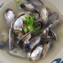 연체동물 - 이매패綱 - 백합目 - 돌고부지科 - 돌고부지 이미지