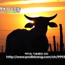더 씨크릿