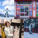 뽀드독 | 용평 리조트 스키장 렌탈샵 뽀드득 리프트권 할인 이용 후기