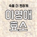 이영애 효소 효과 부작용 먹는법 새싹 생생 비교 내돈내산 후기 분석