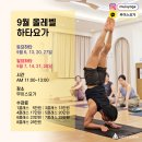 하타요가 기초(All Level) 이미지