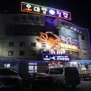 속초 횟집 추천, 오대양횟집 바다가 보이는 장사항 횟집