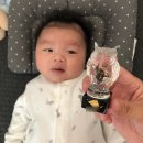 복부엉이PC | 부엉이 크리스탈 탯줄도장 제작 내돈내산 후기