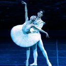 2021 수원발레축제 이미지