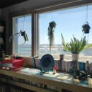 비욘드게스트하우스 이미지