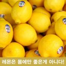 몽땅365