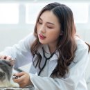 처음동물병원 이미지