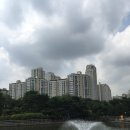 소담공원 농구장 | 분당 시민의 힐링 휴식처 중앙공원