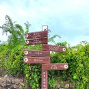 함계정사 | 〈경북 영천시 - 이상향(理想鄕)을 꿈꾸는 선원(仙原) 마을의 - 영천 함계정사(永川 涵溪精舍)〉