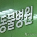 연합동물병원 이미지