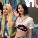 다솜 이미지