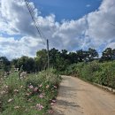 나도 시인 이미지