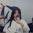 최솔잎 | 유깻잎 프로필, 최고기, 성형, 사주, 혼혈