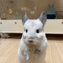 에필로그