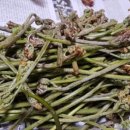 아미로농장 이미지