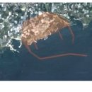 강정천(해군기지) 이미지